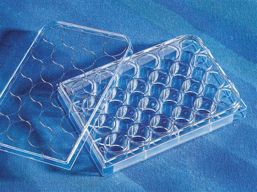 3526 | Costar® 24-well Clear TC-treated Multiple Well Plates, Individually Wrapped, Sterile
