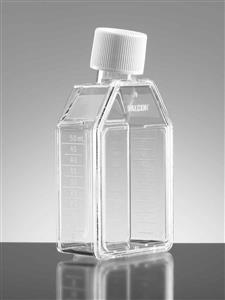 353009 | Falcon® 25cm² Rectangular Canted Neck Cell Culture Flask with White Plug Seal Screw Cap