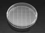 353025 | Falcon® 150 mm TC-treated Cell Culture Dish with 20 mm Grid, 10/Pack, 100/Case, Sterile