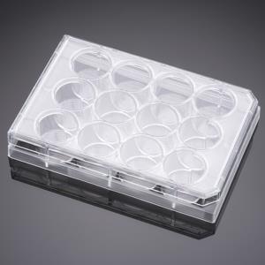 353043 | Falcon® 12w Clear Flat Bottom TC-treated Multiwell Cell Cult Plate,,Lid, Indly Wrapped, Sterile, 50/CS
