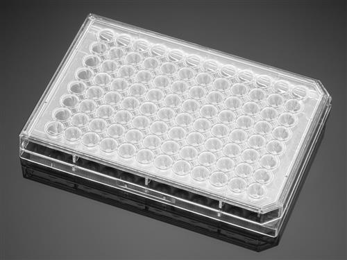 353077 | Falcon® 96w Clear Round Bottom TC-treated Cell Cult Microplate,,Lid, Indly Wrapped, Sterile, 50/CS