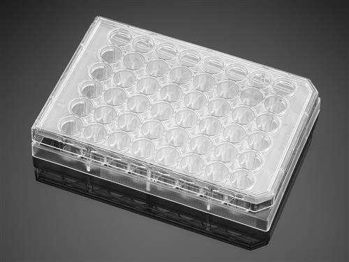 353078 | Falcon® 48w Clear Flat Bottom TC-treated Cell Cult Plate,,Lid, Indly Wrapped, Sterile, 50/CS