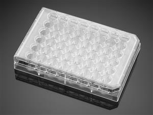 353078 | Falcon® 48w Clear Flat Bottom TC-treated Cell Cult Plate,,Lid, Indly Wrapped, Sterile, 50/CS