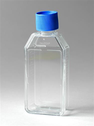 353108 | Falcon® 25cm² Rectangular Canted Neck Cell Culture Flask with Vented Cap