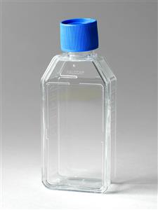 353108 | Falcon® 25cm² Rectangular Canted Neck Cell Culture Flask with Vented Cap