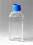 353108 | Falcon® 25cm² Rectangular Canted Neck Cell Culture Flask with Vented Cap