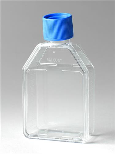 353109 | Falcon® 25cm² Rectangular Canted Neck Cell Culture Flask with Vented Cap