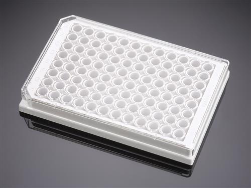 353377 | Falcon® 96-well White/Clear Flat Bottom TC-treated Microplate, with Lid, Sterile, 8/Pack, 32/Case