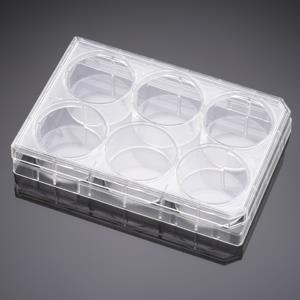 353502 | Falcon® 6w TC-treated Polystyrene Permeable Support Companion Plate,,Lid, Sterile, 1/Pack, 50/CS