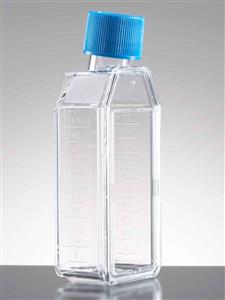 353813 | Corning® Primaria™ 25cm² Rectangular Canted Neck Cell Culture Flask with Plug Seal Cap