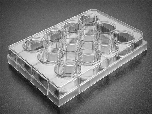 353846 | Corning® Primaria™ 6w Cell Clear Flat Bottom Surface-Modified Multiwell Cult Plate,,Lid, Sterile,50/CS