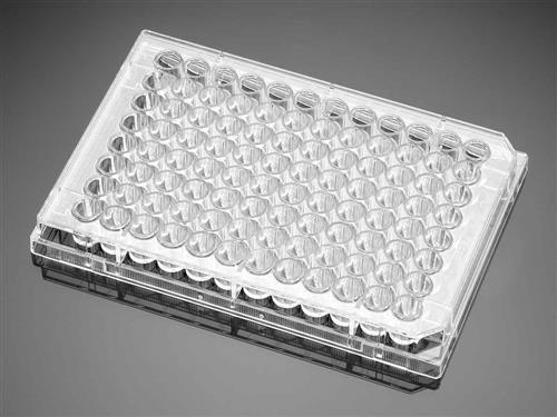 353936 | Falcon® 96w Clear Flat Bottom TC-treated Microtest Cell Cult Microplate,,Lid, Sterile, 14Trays/Pack, 84/CS