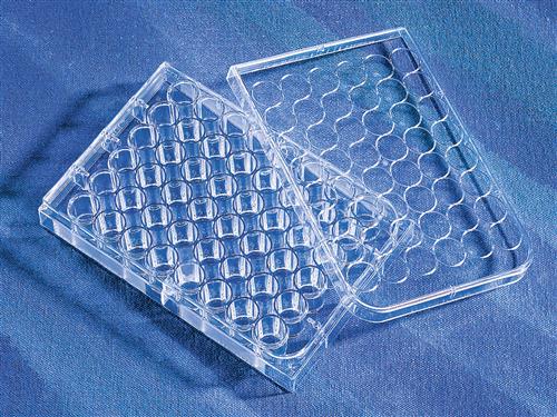 3548 | Costar 48 Well Clear Tissue Culture Treated Multip
