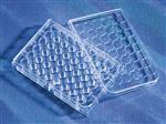3548 | Costar® 48-well Clear TC-treated Multiple Well Plates, Individually Wrapped, Sterile