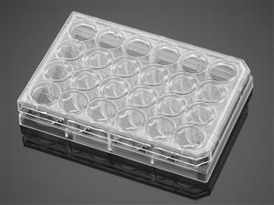 356414 | Corning® BioCoat® PDL 24w Clear Flat Bottom TC-treated Multiwell Plate,,Lid, 5/Pack, 50/CS