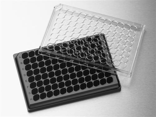 3583 | HTS Transwell®-96 Receiver Plate, Black, TC-treated, Sterile
