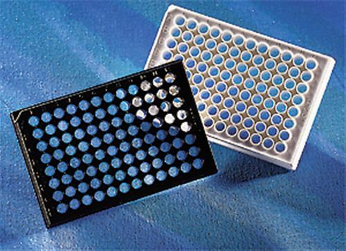 3601 | Corning® 96w Black/Clear Flat Bottom Polystyrene High Bind Microplate, 25/Bag, no Lid, Nonsterile