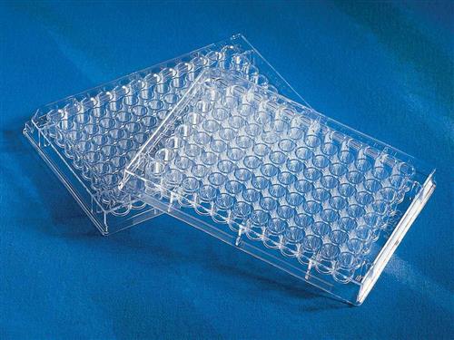 3679 | Corning® Half Area 96w Clear Flat Bottom UV-Transparent Microplate, 25/Bag, no Lid, Nonsterile