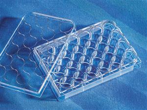 3738 | Costar® 24-well Clear Not Treated Multiple Well Plates, Bulk Pack, Sterile