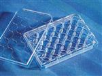 3738 | Costar® 24-well Clear Not Treated Multiple Well Plates, Bulk Pack, Sterile