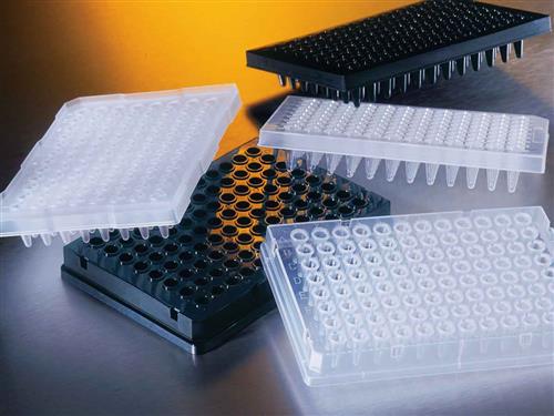 3754 | Corning® Thermowell® GOLD 96-well Clear Polypropylene PCR Microplate, Elevated Skirt, Nonsterile