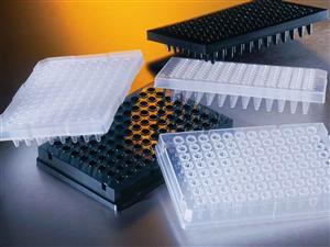 3754 | Corning® Thermowell® GOLD 96-well Clear Polypropylene PCR Microplate, Elevated Skirt, Nonsterile