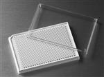 3826 | Corning® LowVol 384w White Flat Bottom Polystyrene TC-treated Microplate, 10/Bag, With Lid, Sterile