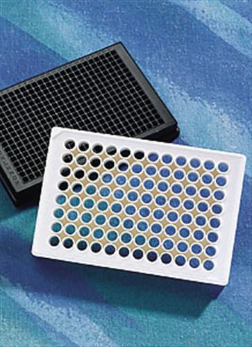3844 | Corning® 384w Clear Flat Bottom Polystyrene PDL Coated Microplates, 20/Bag,,Lid, Aseptically Manufactured