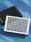 3844 | Corning® 384w Clear Flat Bottom Polystyrene PDL Coated Microplates, 20/Bag,,Lid, Aseptically Manufactured