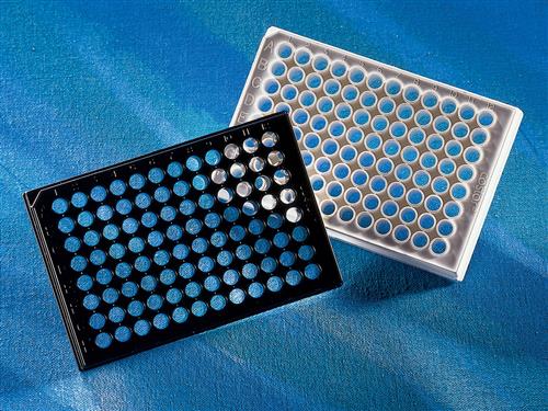 3904 | Corning® 96w Flat Clear Bottom Black Polystyrene TC-treated Microplates, 20/Bag,,Lid, Sterile