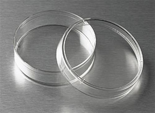 430166 | Corning® 60 mm TC-treated Culture Dish
