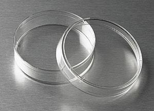 430166 | Corning® 60 mm TC-treated Culture Dish