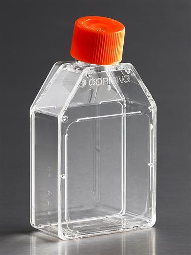 430168 | Corning® 25cm² Rectangular Canted Neck Cell Culture Flask with Plug Seal Cap