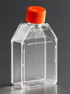 430168 | Corning® 25cm² Rectangular Canted Neck Cell Culture Flask with Plug Seal Cap