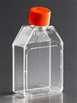 430168 | Corning® 25cm² Rectangular Canted Neck Cell Culture Flask with Plug Seal Cap
