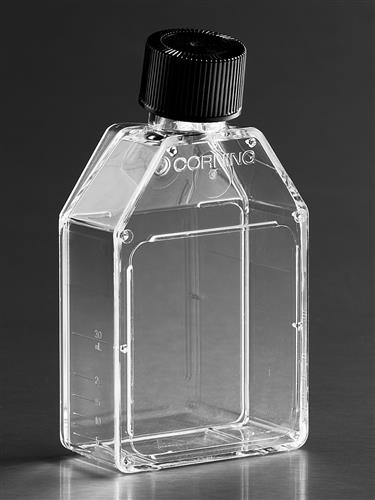 430372 | Corning® 25cm² Rectangular Canted Neck Cell Culture Flask with Phenolic-Style Cap