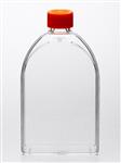 430825 | Corning® 150cm² U-Shaped Canted Neck Cell Culture Flask with Vent Cap