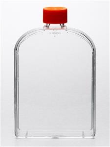 431080 | Corning® 175cm² U-Shaped Angled Neck Cell Culture Flask with Vent Cap