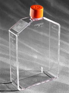 431082 | Corning® 225 cm² Angled Neck Cell Culture Flask with Vent Cap