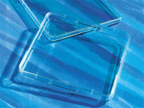 431110 | Corning® 500cm² Square TC-treated Culture Dish