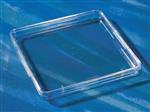 431272 | Corning® 245 mm Square BioAssay Dish without Handles, not TC-treated