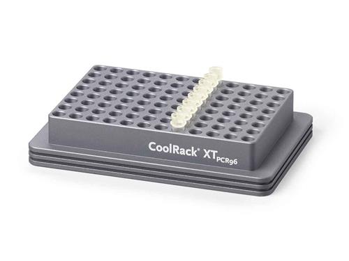 432053 | CoolRack XT PCR96 for 12 strip wells
