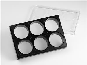 4440 | Corning® Elplasia® 6-well Black/Clear Round Bottom Ultra-Low Attachment, Microcavity Plate, with Lid