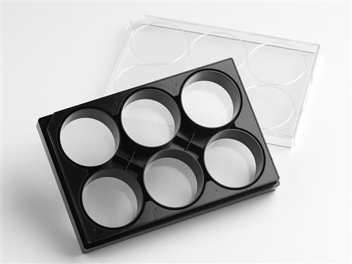 4444 | Corning® Elplasia® 6-well Black/Clear, Square, Plasma Treated, Microcavity Plate, with Lid