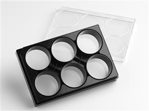 4444 | Corning® Elplasia® 6-well Black/Clear, Square, Plasma Treated, Microcavity Plate, with Lid