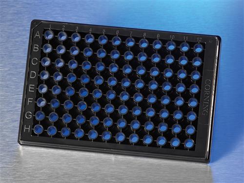 4586 | Corning® BioCoat® PDL 96w Half Area Black/Clear Flat Bottom High Content Imaging Glass Bottom Microplate
