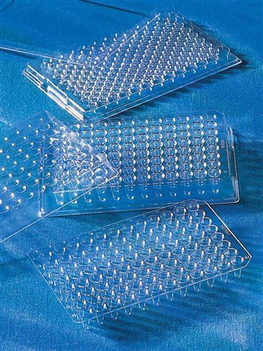 6511 | 96-well Polycarbonate PCR Microplate, Model M, Nonsterile