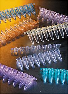 6547 | 0.2 mL Polypropylene PCR Tubes, Assorted Colors, 8-well Strips