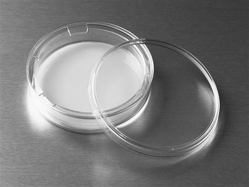 7910 | 75 mm Transwell® with 0.4 µm Pore Polycarbonate Membrane Insert, Sterile