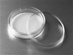 7910 | 75 mm Transwell® with 0.4 µm Pore Polycarbonate Membrane Insert, Sterile